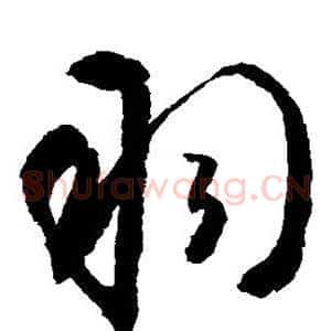 羽