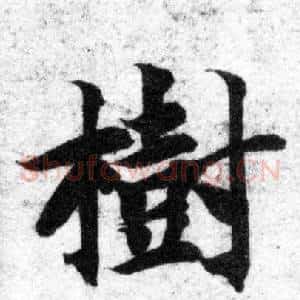 樹