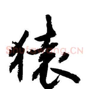 猿