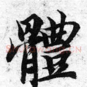 體