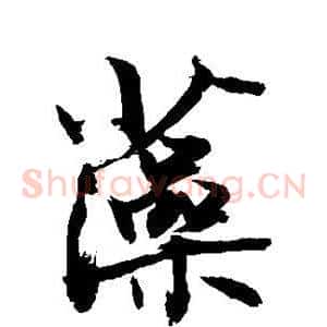 藻