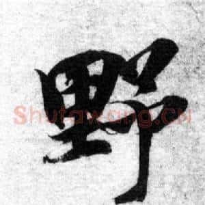 野