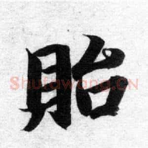 貽