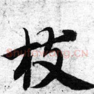 枝