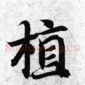 植