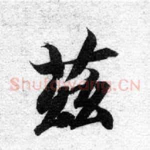 茲