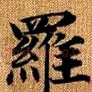羅