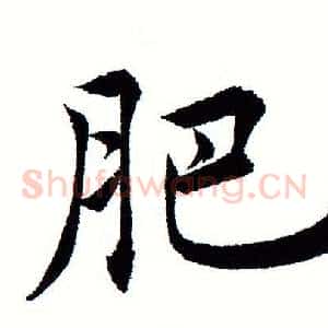 肥