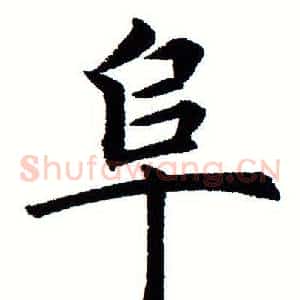 阜