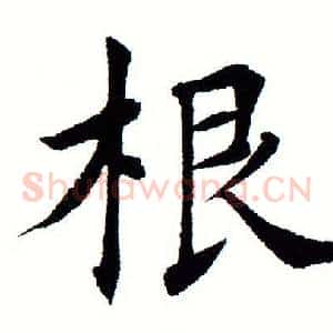 根