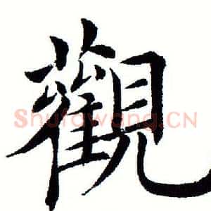 观