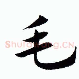 毛