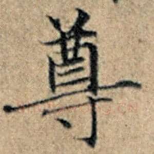 尊