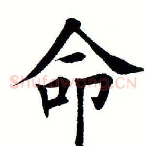 命