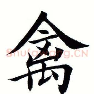 禽