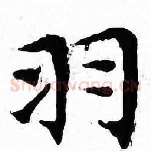羽