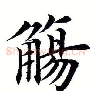 觞