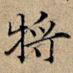 将