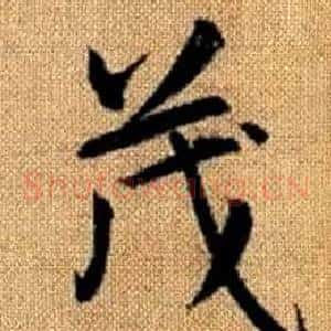 茂