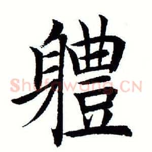 体