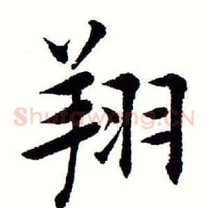 翔