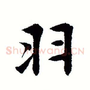羽