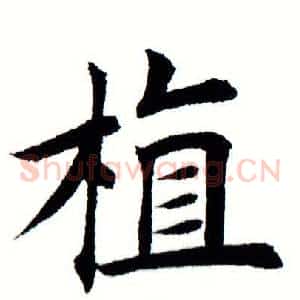 植