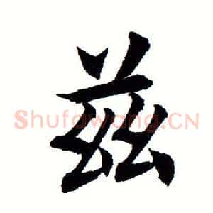 兹