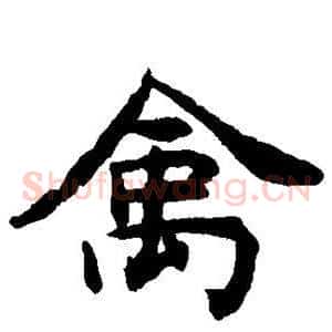 禽