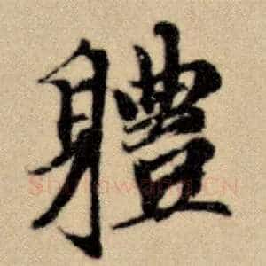 体