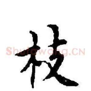 枝