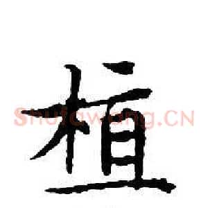 植