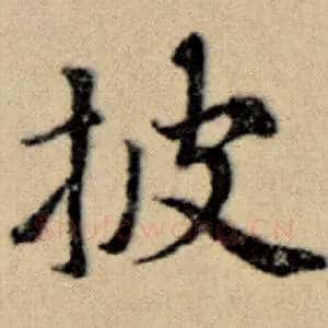披