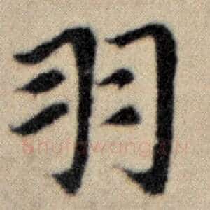 羽