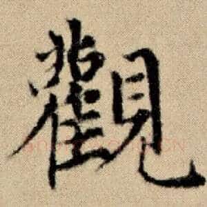 观