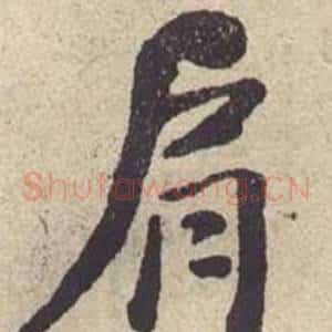 肩