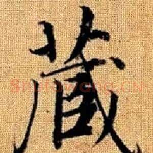藏
