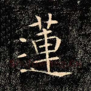 莲