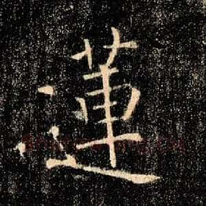莲