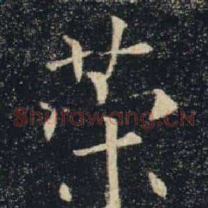 策