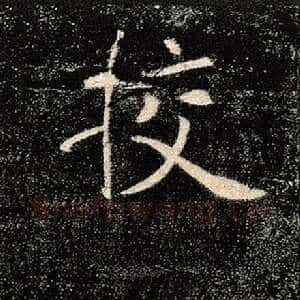 校