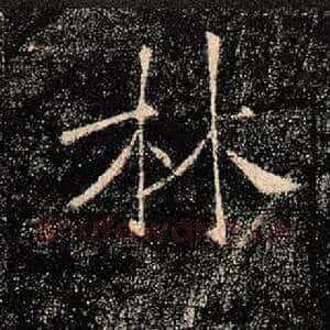 林