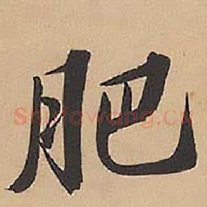 肥