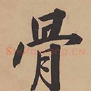 骨