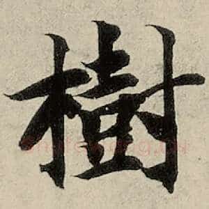 树