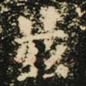 兹