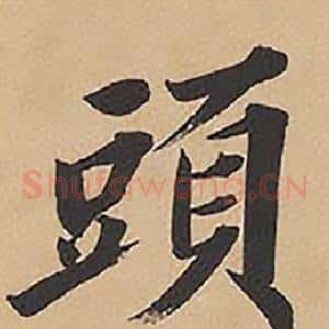 頭