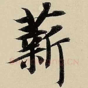 薪