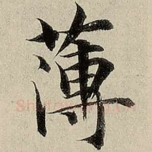 薄