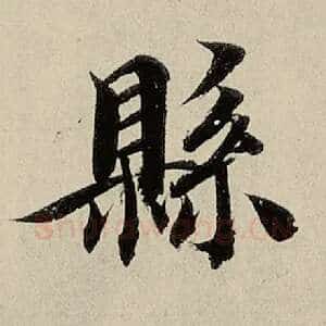 县
